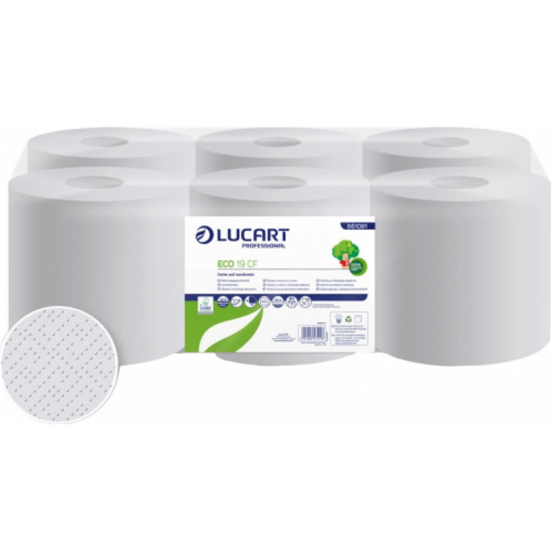 Papīra dvieļi ECO, 2 kārtas, 6