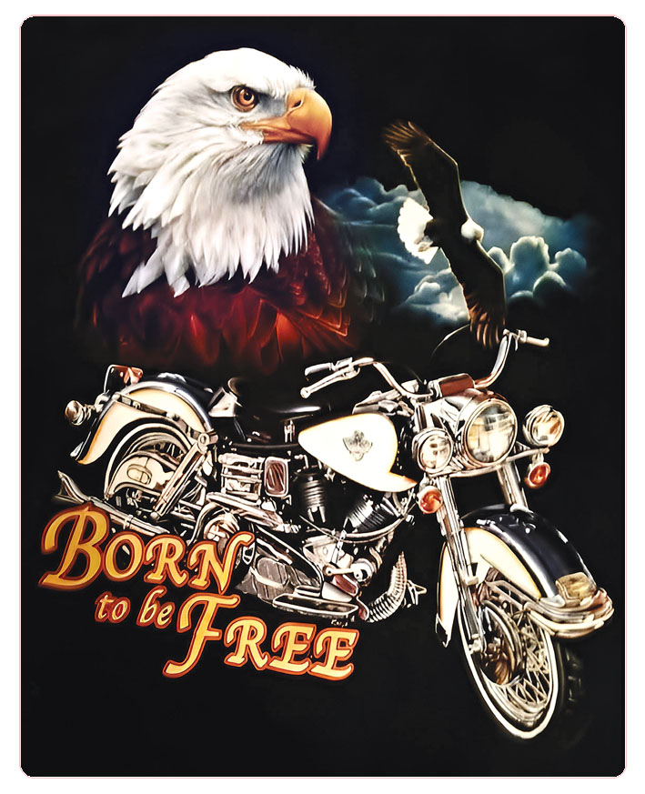 Avisa Uzlīme - Born to be