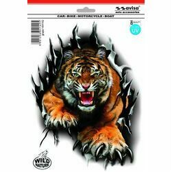 tigeris-ar-asiem-nagiem-24x18cm