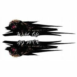 wild-life-leopards-2-gab-24x6cm