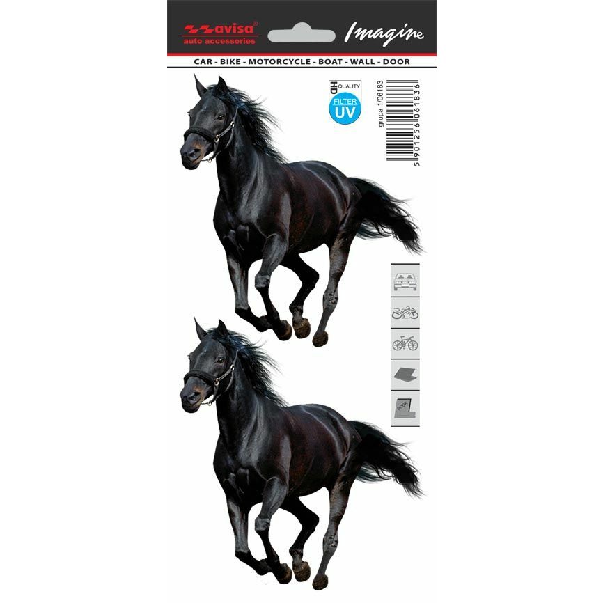 Avisa Zirgi, 2.gab., 12x11cm |
