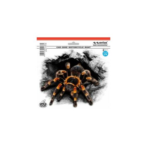 Avisa Zirneklis 18,5x15,5cm |